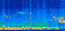 /calipso-imagery/data/BROWSE/production/V5-00/2007-01-10/2007-01-10_22-28-50_V5.00_3_thmb.png image missing
