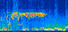 /calipso-imagery/data/BROWSE/production/V5-00/2007-01-13/2007-01-13_01-34-17_V5.00_3_thmb.png image missing