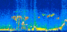 /calipso-imagery/data/BROWSE/production/V5-00/2007-01-13/2007-01-13_06-30-58_V5.00_3_thmb.png image missing