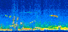 /calipso-imagery/data/BROWSE/production/V5-00/2007-01-13/2007-01-13_09-48-43_V5.00_3_thmb.png image missing