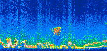 /calipso-imagery/data/BROWSE/production/V5-00/2007-01-13/2007-01-13_11-27-38_V5.00_2_thmb.png image missing