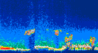 /calipso-imagery/data/BROWSE/production/V5-00/2007-01-13/2007-01-13_11-27-38_V5.00_4_thmb.png image missing