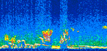 /calipso-imagery/data/BROWSE/production/V5-00/2007-01-13/2007-01-13_13-06-33_V5.00_2_thmb.png image missing