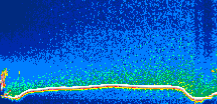 /calipso-imagery/data/BROWSE/production/V5-00/2007-01-13/2007-01-13_14-45-24_V5.00_1_thmb.png image missing