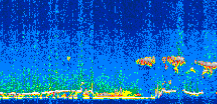 /calipso-imagery/data/BROWSE/production/V5-00/2007-01-13/2007-01-13_19-42-04_V5.00_3_thmb.png image missing
