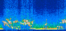 /calipso-imagery/data/BROWSE/production/V5-00/2007-01-13/2007-01-13_21-20-55_V5.00_2_thmb.png image missing