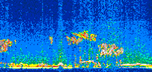 /calipso-imagery/data/BROWSE/production/V5-00/2007-01-13/2007-01-13_21-20-55_V5.00_3_thmb.png image missing