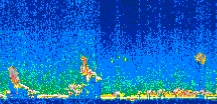 /calipso-imagery/data/BROWSE/production/V5-00/2007-01-14/2007-01-14_08-53-11_V5.00_2_thmb.png image missing