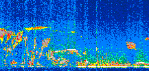 /calipso-imagery/data/BROWSE/production/V5-00/2007-01-14/2007-01-14_17-07-37_V5.00_3_thmb.png image missing