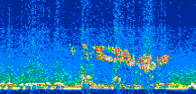 /calipso-imagery/data/BROWSE/production/V5-00/2007-01-14/2007-01-14_20-25-23_V5.00_3_thmb.png image missing