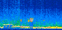 /calipso-imagery/data/BROWSE/production/V5-00/2007-01-22/2007-01-22_06-25-25_V5.00_2_thmb.png image missing