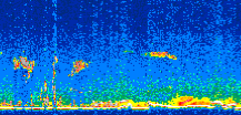 /calipso-imagery/data/BROWSE/production/V5-00/2007-01-22/2007-01-22_09-43-10_V5.00_3_thmb.png image missing