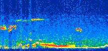 /calipso-imagery/data/BROWSE/production/V5-00/2007-01-22/2007-01-22_13-01-01_V5.00_3_thmb.png image missing
