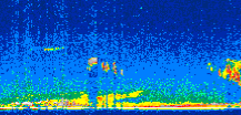 /calipso-imagery/data/BROWSE/production/V5-00/2007-01-22/2007-01-22_14-39-51_V5.00_3_thmb.png image missing