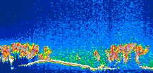 /calipso-imagery/data/BROWSE/production/V5-00/2007-01-22/2007-01-22_19-36-32_V5.00_1_thmb.png image missing