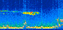 /calipso-imagery/data/BROWSE/production/V5-00/2007-01-22/2007-01-22_22-54-22_V5.00_3_thmb.png image missing