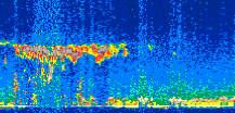 /calipso-imagery/data/BROWSE/production/V5-00/2007-01-27/2007-01-27_01-47-45_V5.00_3_thmb.png image missing