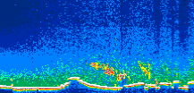 /calipso-imagery/data/BROWSE/production/V5-00/2007-01-27/2007-01-27_03-26-40_V5.00_1_thmb.png image missing