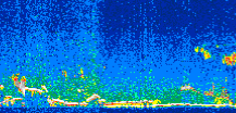 /calipso-imagery/data/BROWSE/production/V5-00/2007-01-27/2007-01-27_05-05-30_V5.00_2_thmb.png image missing