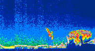 /calipso-imagery/data/BROWSE/production/V5-00/2007-01-27/2007-01-27_13-20-01_V5.00_4_thmb.png image missing