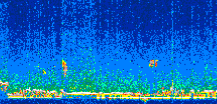 /calipso-imagery/data/BROWSE/production/V5-00/2007-01-27/2007-01-27_21-34-27_V5.00_2_thmb.png image missing