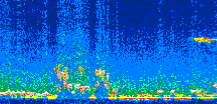 /calipso-imagery/data/BROWSE/production/V5-00/2007-01-28/2007-01-28_00-52-13_V5.00_2_thmb.png image missing