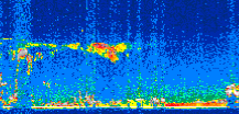 /calipso-imagery/data/BROWSE/production/V5-00/2007-01-28/2007-01-28_00-52-13_V5.00_3_thmb.png image missing
