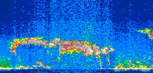 /calipso-imagery/data/BROWSE/production/V5-00/2007-01-28/2007-01-28_02-31-08_V5.00_2_thmb.png image missing