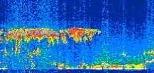 /calipso-imagery/data/BROWSE/production/V5-00/2007-01-28/2007-01-28_02-31-08_V5.00_3_thmb.png image missing