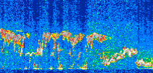 /calipso-imagery/data/BROWSE/production/V5-00/2007-01-28/2007-01-28_04-09-58_V5.00_3_thmb.png image missing