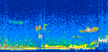 /calipso-imagery/data/BROWSE/production/V5-00/2007-01-28/2007-01-28_07-27-49_V5.00_3_thmb.png image missing
