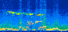 /calipso-imagery/data/BROWSE/production/V5-00/2007-01-28/2007-01-28_19-00-00_V5.00_3_thmb.png image missing