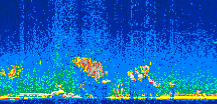 /calipso-imagery/data/BROWSE/production/V5-00/2007-01-29/2007-01-29_01-35-36_V5.00_2_thmb.png image missing