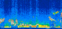 /calipso-imagery/data/BROWSE/production/V5-00/2007-01-29/2007-01-29_03-14-26_V5.00_2_thmb.png image missing