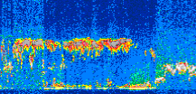 /calipso-imagery/data/BROWSE/production/V5-00/2007-01-29/2007-01-29_03-14-26_V5.00_3_thmb.png image missing