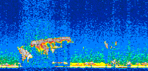 /calipso-imagery/data/BROWSE/production/V5-00/2007-01-29/2007-01-29_14-46-43_V5.00_2_thmb.png image missing