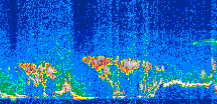/calipso-imagery/data/BROWSE/production/V5-00/2007-01-29/2007-01-29_18-04-28_V5.00_2_thmb.png image missing