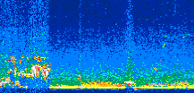 /calipso-imagery/data/BROWSE/production/V5-00/2007-01-30/2007-01-30_02-18-54_V5.00_2_thmb.png image missing
