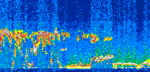 /calipso-imagery/data/BROWSE/production/V5-00/2007-01-30/2007-01-30_03-57-49_V5.00_3_thmb.png image missing