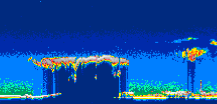/calipso-imagery/data/BROWSE/production/V5-00/2007-01-30/2007-01-30_11-25-50_V5.00_2_thmb.png image missing