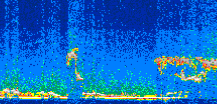 /calipso-imagery/data/BROWSE/production/V5-00/2007-01-30/2007-01-30_22-05-37_V5.00_3_thmb.png image missing