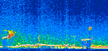/calipso-imagery/data/BROWSE/production/V5-00/2007-01-30/2007-01-30_23-44-32_V5.00_2_thmb.png image missing