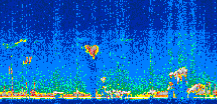 /calipso-imagery/data/BROWSE/production/V5-00/2007-01-30/2007-01-30_23-44-32_V5.00_3_thmb.png image missing