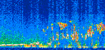 /calipso-imagery/data/BROWSE/production/V5-00/2007-04-01/2007-04-01_06-51-48_V5.00_2_thmb.png image missing