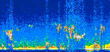 /calipso-imagery/data/BROWSE/production/V5-00/2007-04-01/2007-04-01_08-30-38_V5.00_2_thmb.png image missing