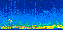 /calipso-imagery/data/BROWSE/production/V5-00/2007-04-01/2007-04-01_10-09-34_V5.00_2_thmb.png image missing