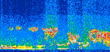 /calipso-imagery/data/BROWSE/production/V5-00/2007-04-01/2007-04-01_18-24-00_V5.00_3_thmb.png image missing