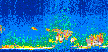 /calipso-imagery/data/BROWSE/production/V5-00/2007-04-04/2007-04-04_00-47-27_V5.00_3_thmb.png image missing