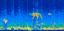 /calipso-imagery/data/BROWSE/production/V5-00/2007-04-04/2007-04-04_02-26-22_V5.00_2_thmb.png image missing