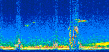 /calipso-imagery/data/BROWSE/production/V5-00/2007-04-04/2007-04-04_09-01-53_V5.00_2_thmb.png image missing